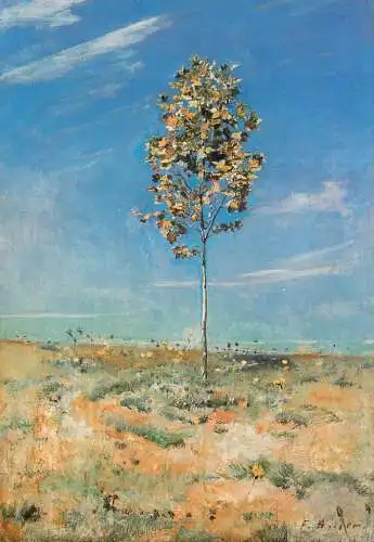 Greetings card fine arts painting Ferdinand Hodler le petit platane