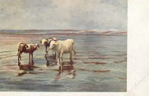 Greetings card paintings Mihalik Tehenek a Balatonon