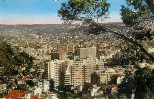 cpsm Africa Algeria Algiers