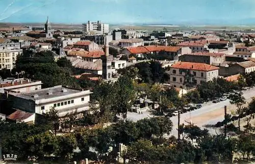 cpsm Africa Algeria  Sétif