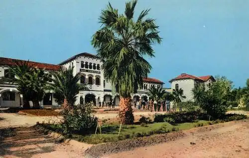 cpsm France Ain Temouchent l'ecole d'agriculture 1958