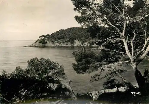 France Var Giens la pointe du Mort