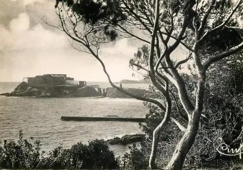 France Hyeres les Palmiers 1952