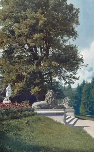 AK Allemagne Linderhof Konigslinde im Schlosspark
