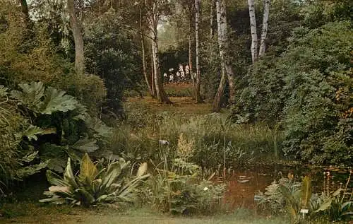 England Windsor Great Park Savill Garden