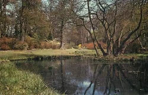 England Windsor Great Park Savill Garden lower pond springtime
