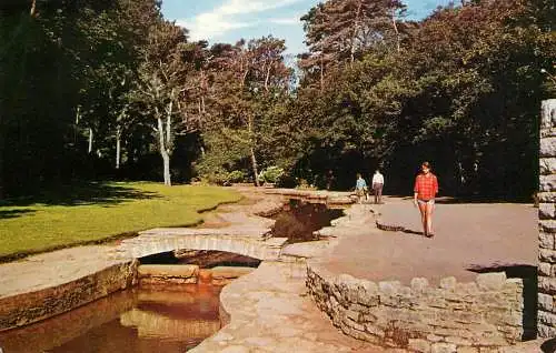 England Branksome Chine - the stream