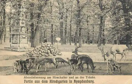 Germany partie aus dem Hisrdgarten in Nymphenburg