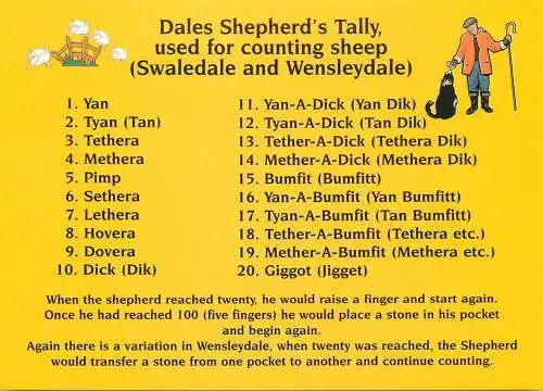 Greetings card advertising Dales Shepherd's thally Swaledale and Wensleydale