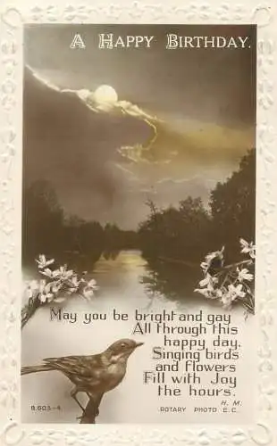 Greetings card Birthday bird