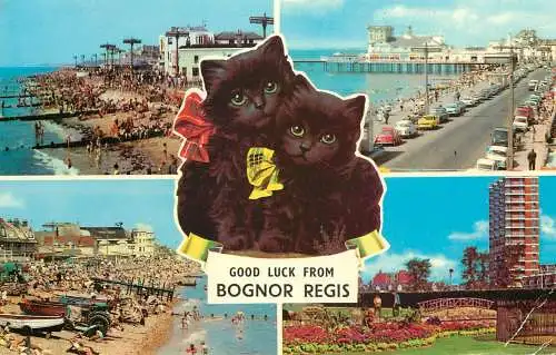 England Good luck from Bognor Regis multi view