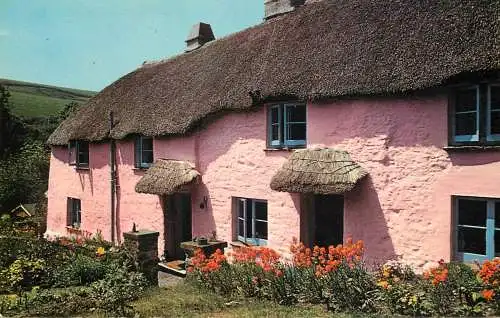 England Devon typical thatch house