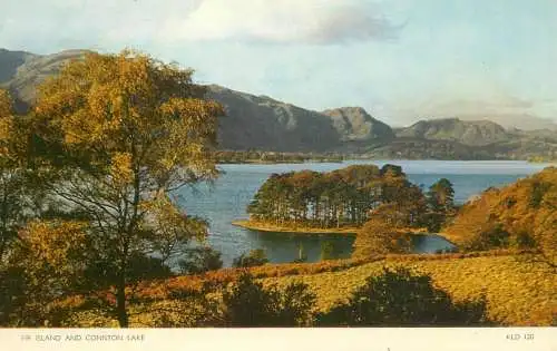 England Fir Island & Coniston Lake