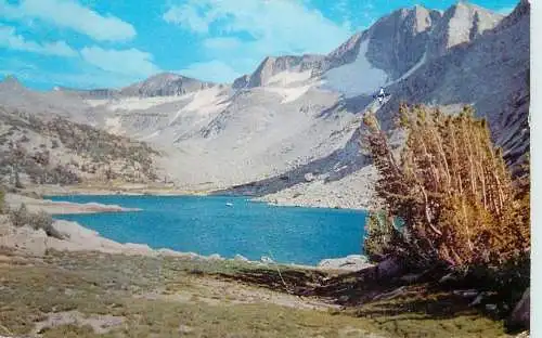 United States > CA - California > Yosemite National Park
