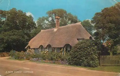 United Kingdom England New Forest cottage