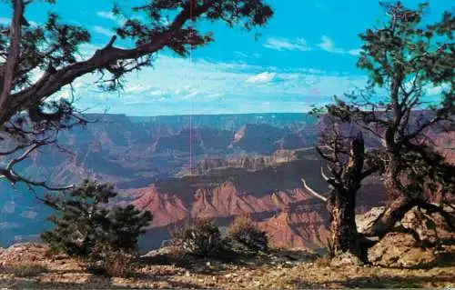 United States > AZ - Arizona > Grand Canyon
