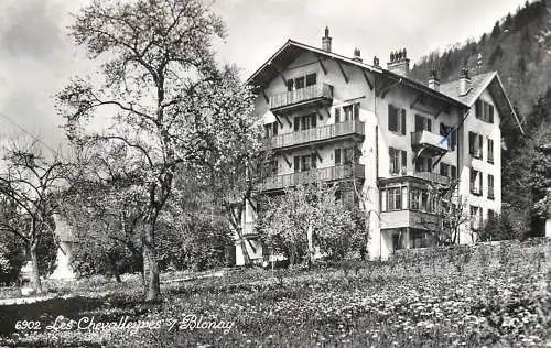 Switzerland les Chevalleynes Blonay