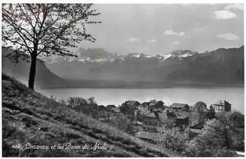 Switzerland Chernex et les Dents du Midi