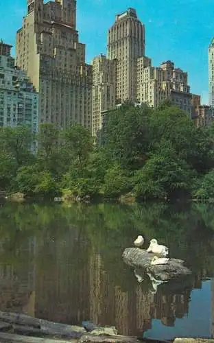 USA New York Central Park skyline