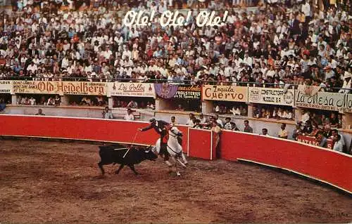 Mexico Tijuana Plaza Monumental Arena bullfighter on horseback