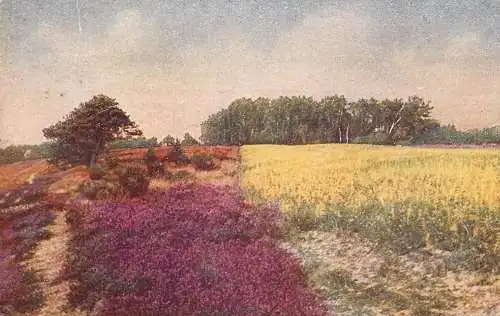 Germany painting Farben aufnahme direkt nach des natur