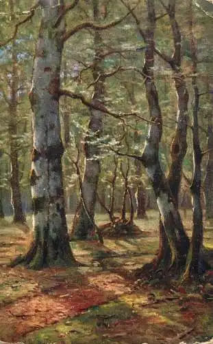 Germany painting forest scenery