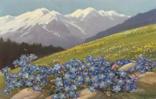 AK Allemagne Landschaft painting mountain scene and rock flowers