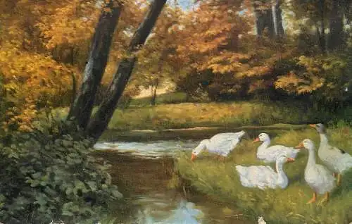 AK Allemagne Landschaft painting landscape and ducks