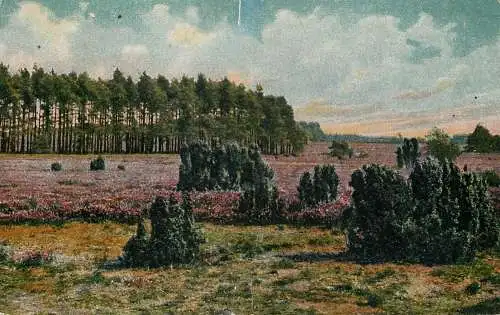 AK Allemagne Landschaft painting forest scene