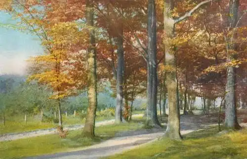 AK Allemagne Landschaft painting forest scene