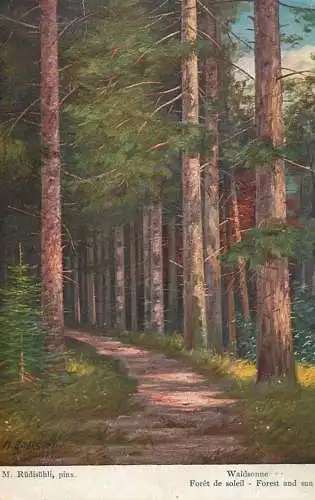 AK Allemagne Landschaft painting Waldsonne foret de soleil M. Rudisuhli