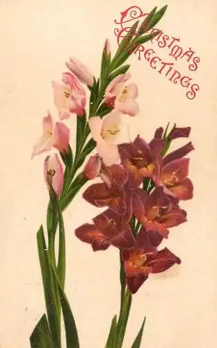 British greetings postcard Christmas flowers