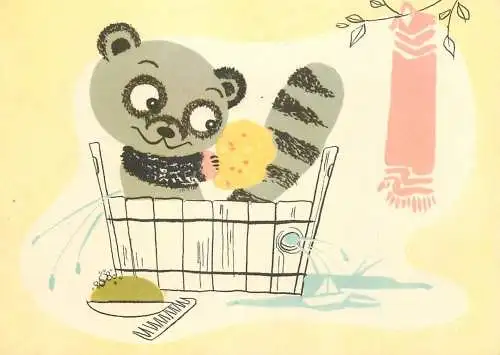 Greetings card animals racoon