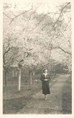 Real photo social history woman in orchard