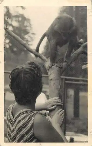 Real photo social history woman and monkey zoo