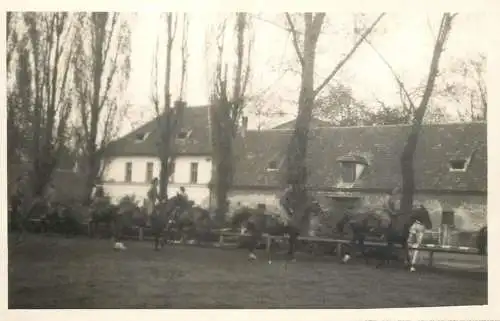 Real photo social history cavalry scene