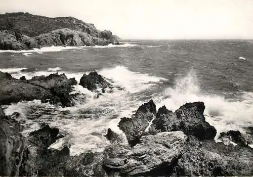 France Var camp international du Dramont