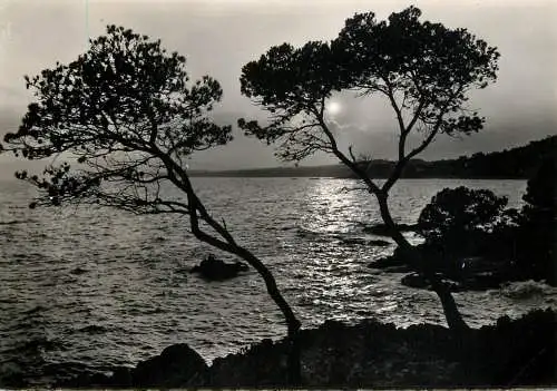 France Var camp international du Dramont