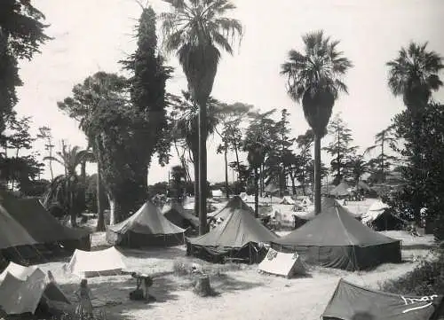 France Alpes Maritimes > Cannes