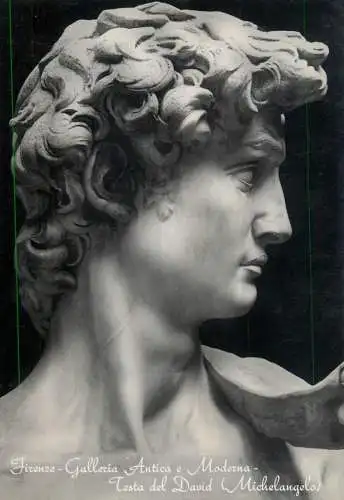 Italy Florence Testa del David