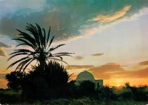 Sud Tunisien Coucher de soleil