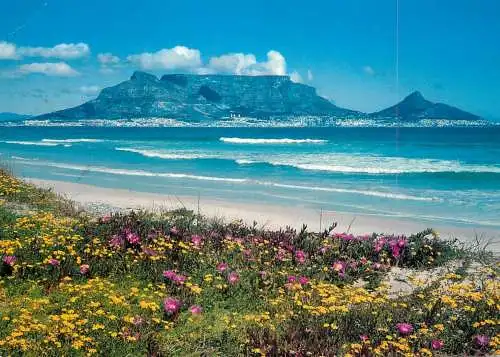 South Africa Cape Town ocean skyline