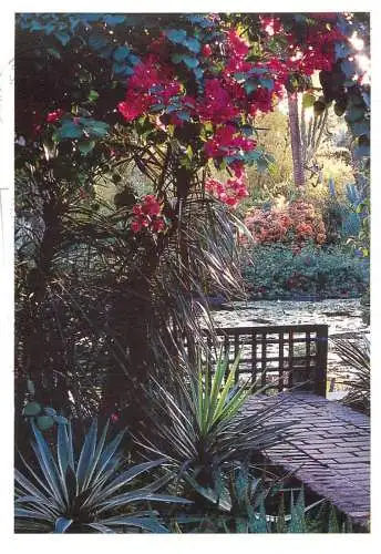 Morocco Marrakech Majorelle garden