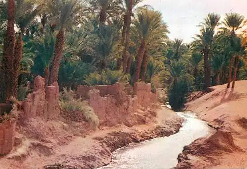 Morocco typical Morocco southern scenery
