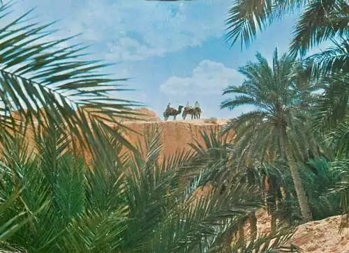 Tunisia oasis detail aspect camel riders types and scenes