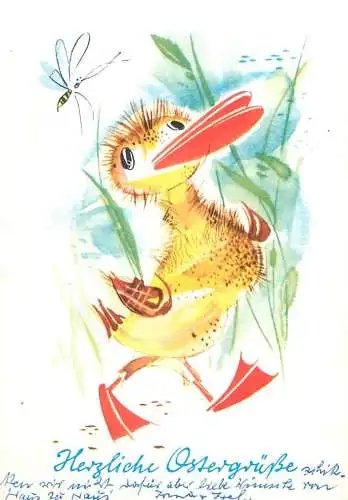 Greetings postcard drawing of a duck