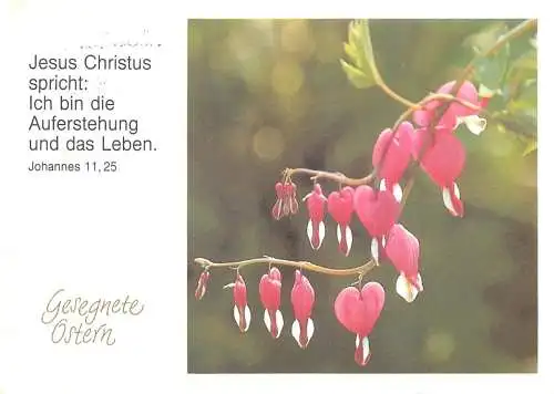 Greetings card religious scene Johannes 11,25