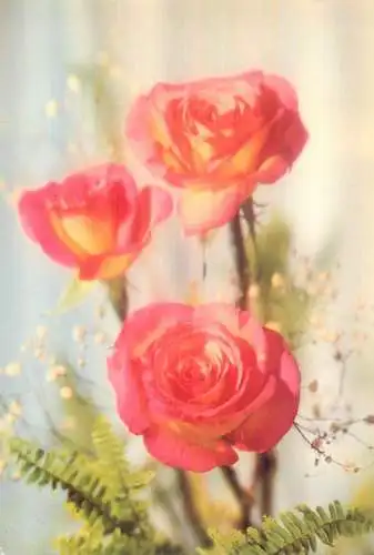 Flowers postcard roses 1990 Belgium