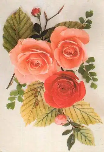 Flowers postcard roses 1989 Belgium