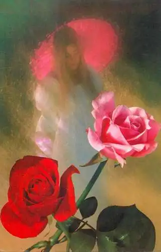 Flowers postcard roses 1989 Belgium